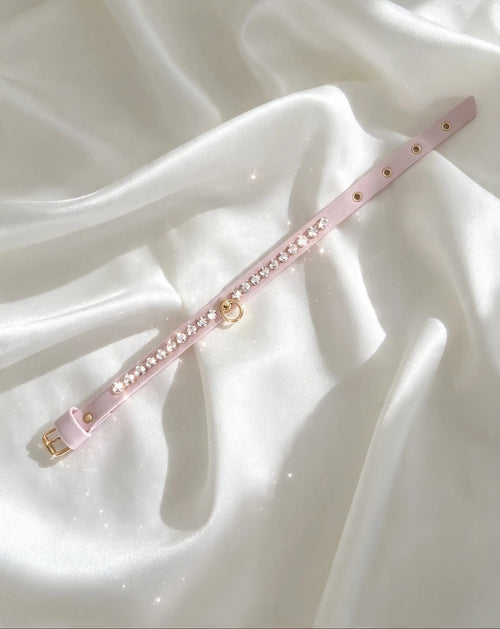 Collare rosa per cane con fila di strass e dettagli dorati su raso bianco