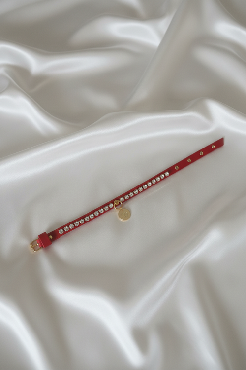 Collare Gioiello Red Crystal – Strass / Gold